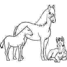 coloring pages of baby horses baby horse coloring pages coloring pages to download and of baby pages horses coloring 