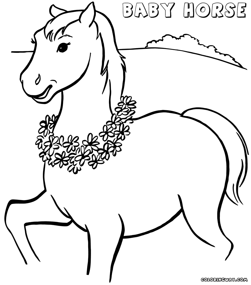 coloring pages of baby horses baby horse coloring pages getcoloringpagescom baby horses coloring of pages 