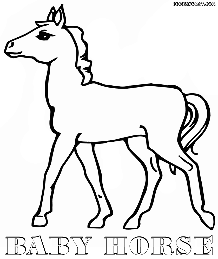 coloring pages of baby horses baby horse coloring pages getcoloringpagescom pages baby of horses coloring 
