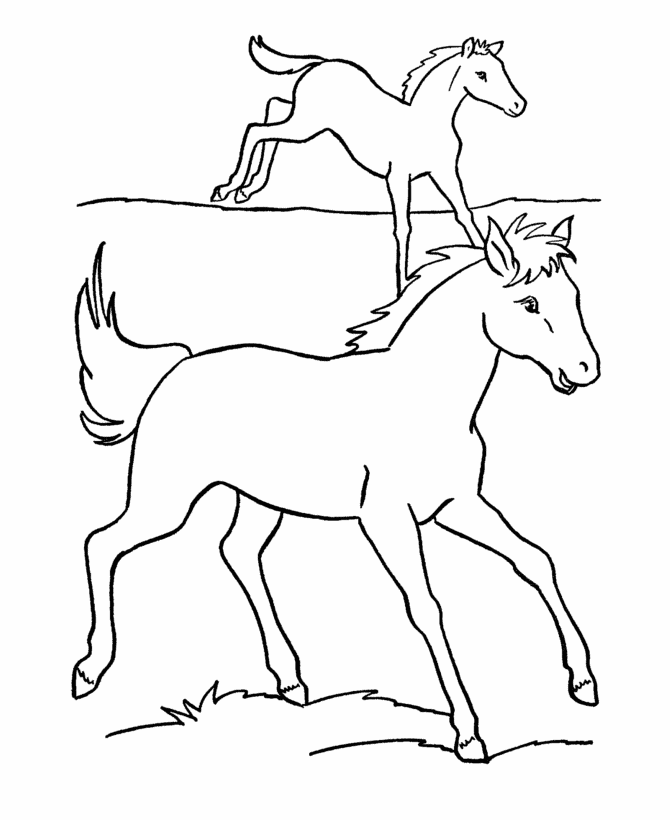 coloring pages of baby horses coloring pages of a horse of a newborn baby coloring pages baby horses of coloring 