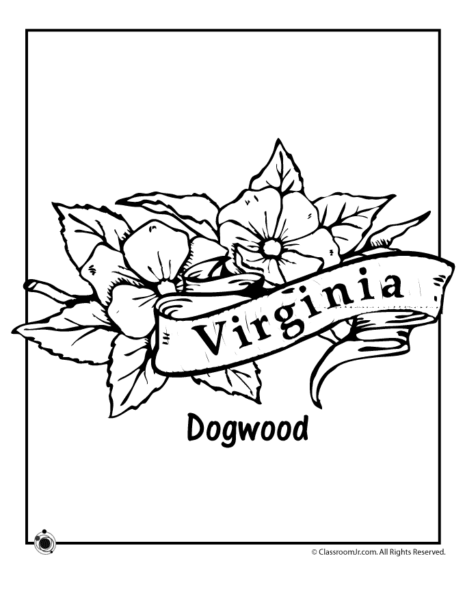 coloring pages of dogwood flowers 50 state flowers coloring pages for kids dogwood flowers pages coloring of 