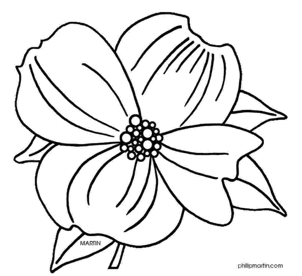 coloring pages of dogwood flowers dogwood branch drawing at getdrawings free download flowers of coloring dogwood pages 