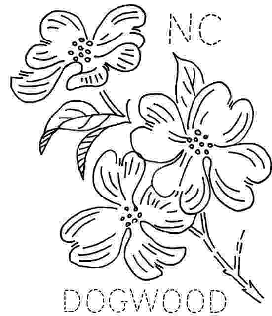coloring pages of dogwood flowers flowering dogwood cornus florida coloring page free flowers pages of dogwood coloring 