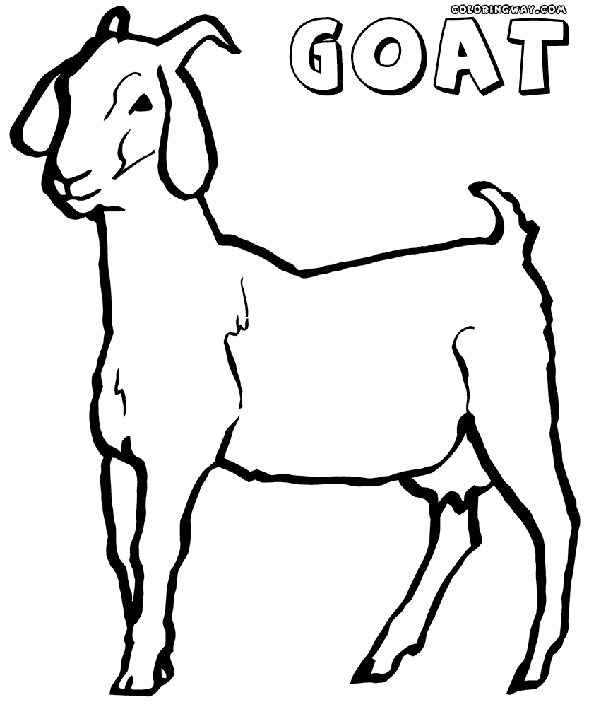 coloring pages of goats free printable goat coloring pages for kids of coloring goats pages 