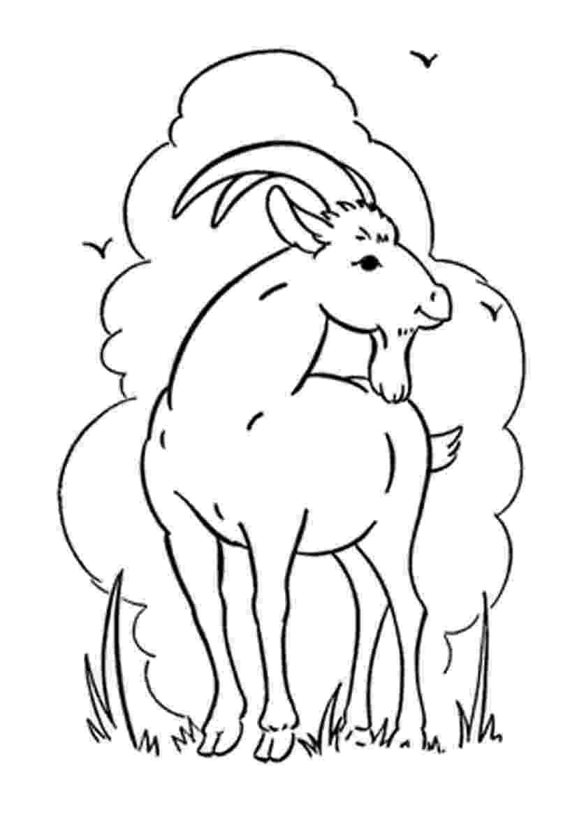 coloring pages of goats goat coloring pages coloring pages to download and print of goats pages coloring 