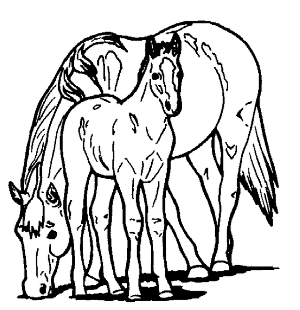 coloring pages of horses and ponies horse and pony coloring page free printable coloring pages and of pages horses ponies coloring 