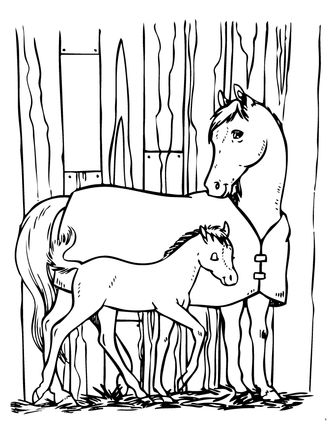 coloring pages of horses and ponies horse and pony coloring page h m coloring pages and ponies coloring pages of horses 