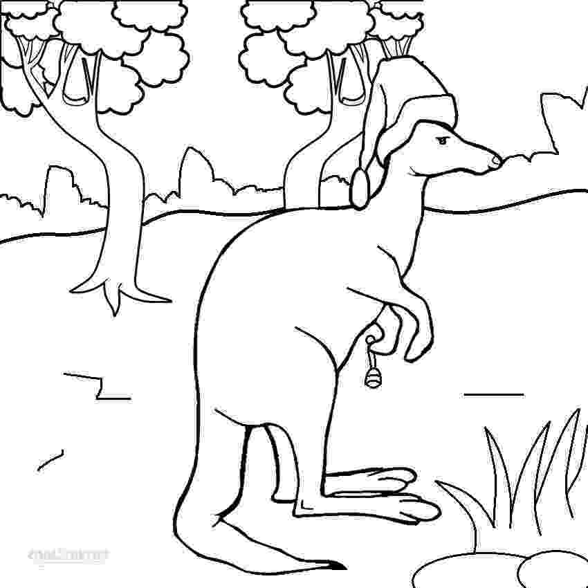coloring pages of kangaroos free kangaroo pictures to color download free clip art kangaroos pages of coloring 