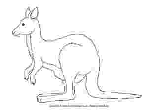 coloring pages of kangaroos free kangaroo pictures to color download free clip art pages kangaroos coloring of 