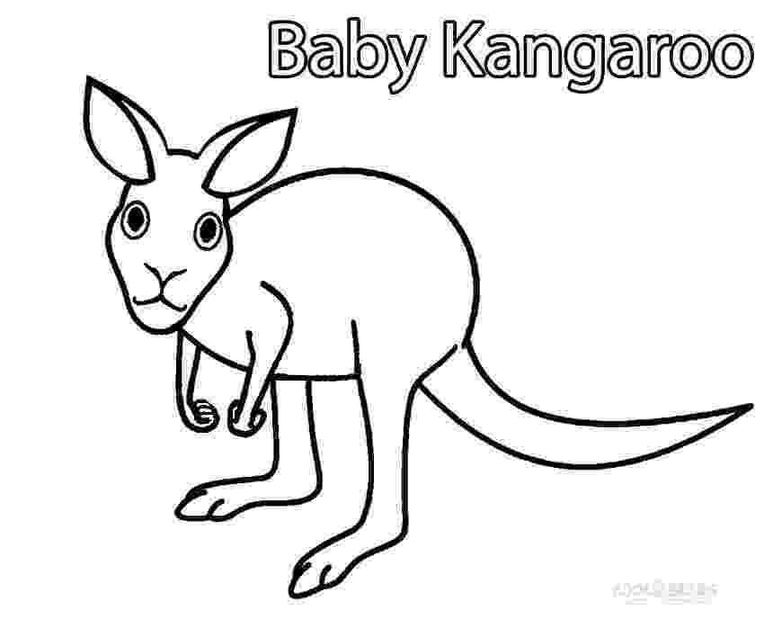 coloring pages of kangaroos free printable kangaroo coloring pages for kids coloring of kangaroos pages 