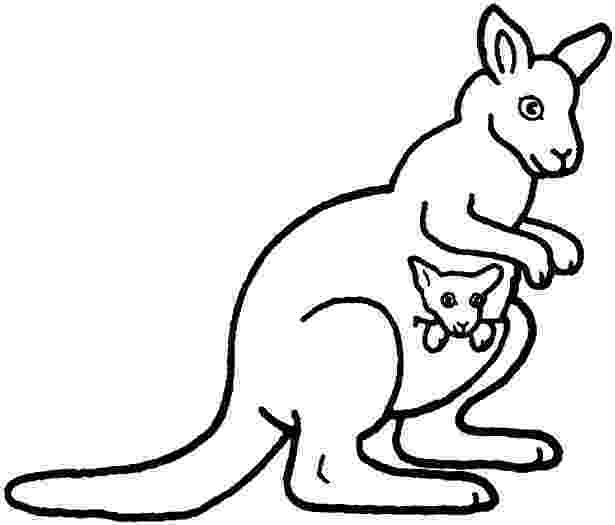 coloring pages of kangaroos free printable kangaroo coloring pages for kids pages kangaroos of coloring 