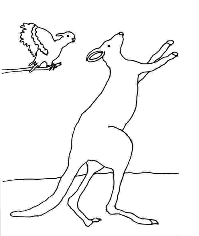 coloring pages of kangaroos katy no pocket kangaroo template before five in a row pages of kangaroos coloring 
