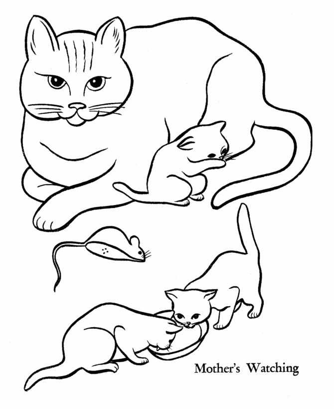 coloring pages of kittens to print cat color pages printable cat coloring sheets animal print of coloring kittens pages to 