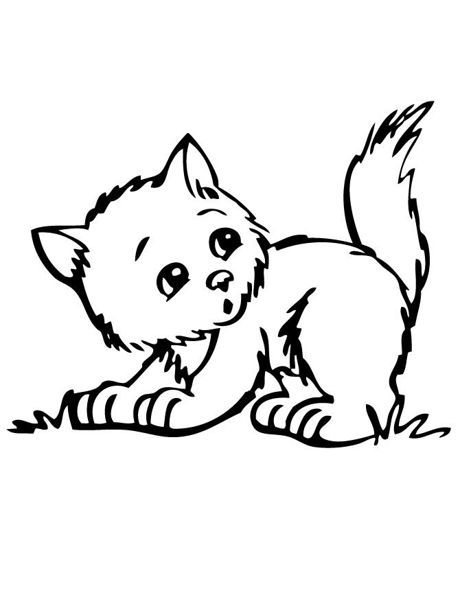 coloring pages of kittens to print cat coloring pages of to kittens print pages coloring 