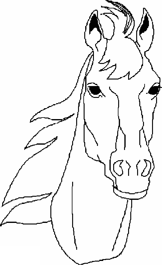 coloring pictures of horses heads free coloring pages horses heads horses pictures of coloring 