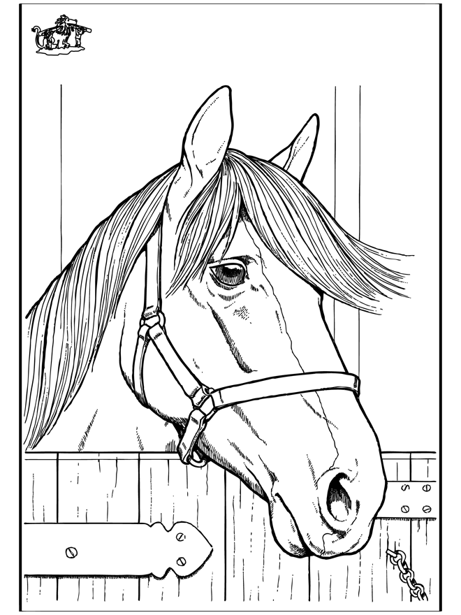 coloring pictures of horses heads horse head coloring page getcoloringpagescom of pictures heads horses coloring 