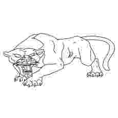 coloring pictures of panthers best of black panther coloring pages for kids sugar and of pictures coloring panthers 