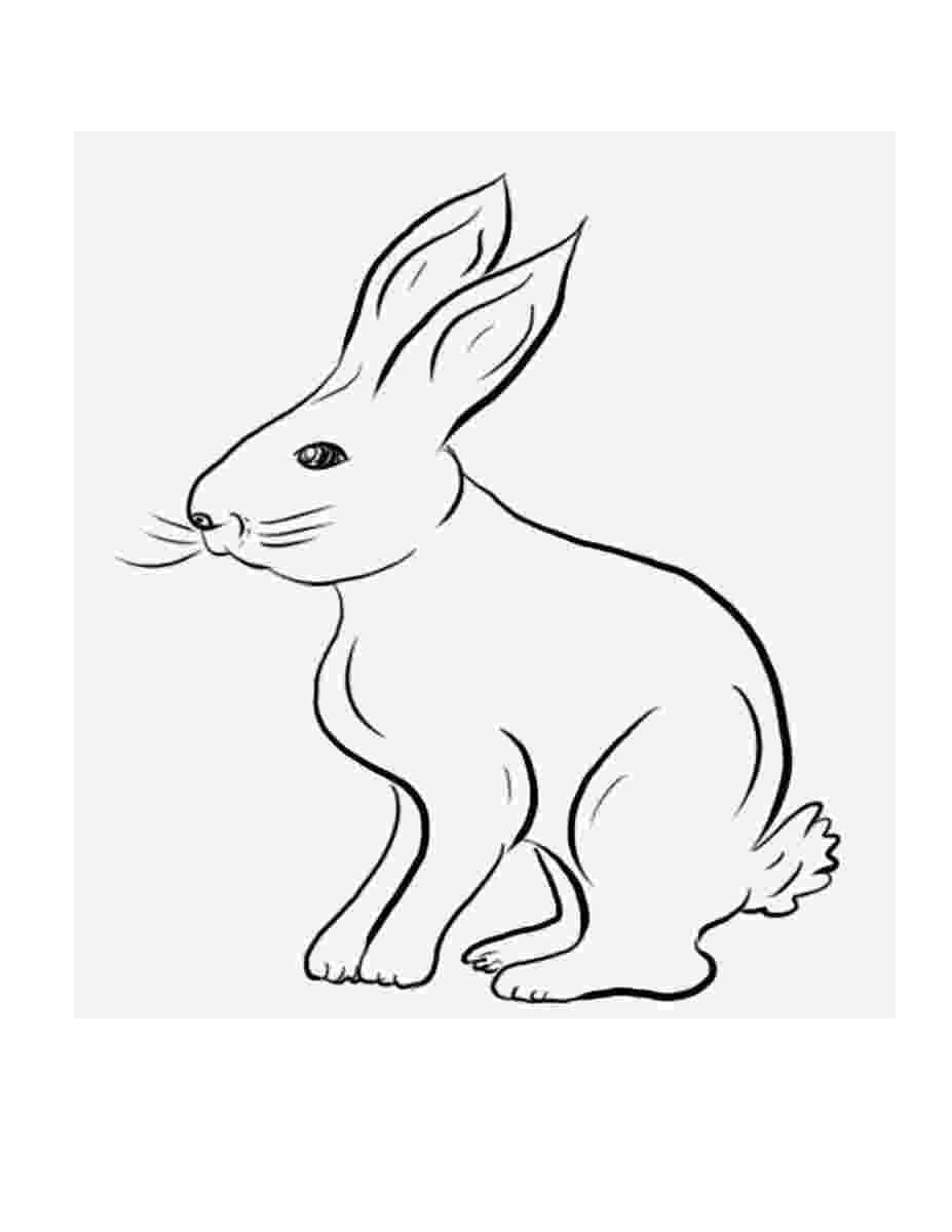 coloring pictures of rabbits bunny coloring pages getcoloringpagescom coloring rabbits of pictures 