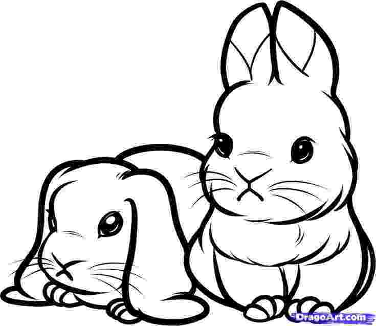 coloring pictures of rabbits printable coloring pages of baby bunnies animals of coloring pictures rabbits 