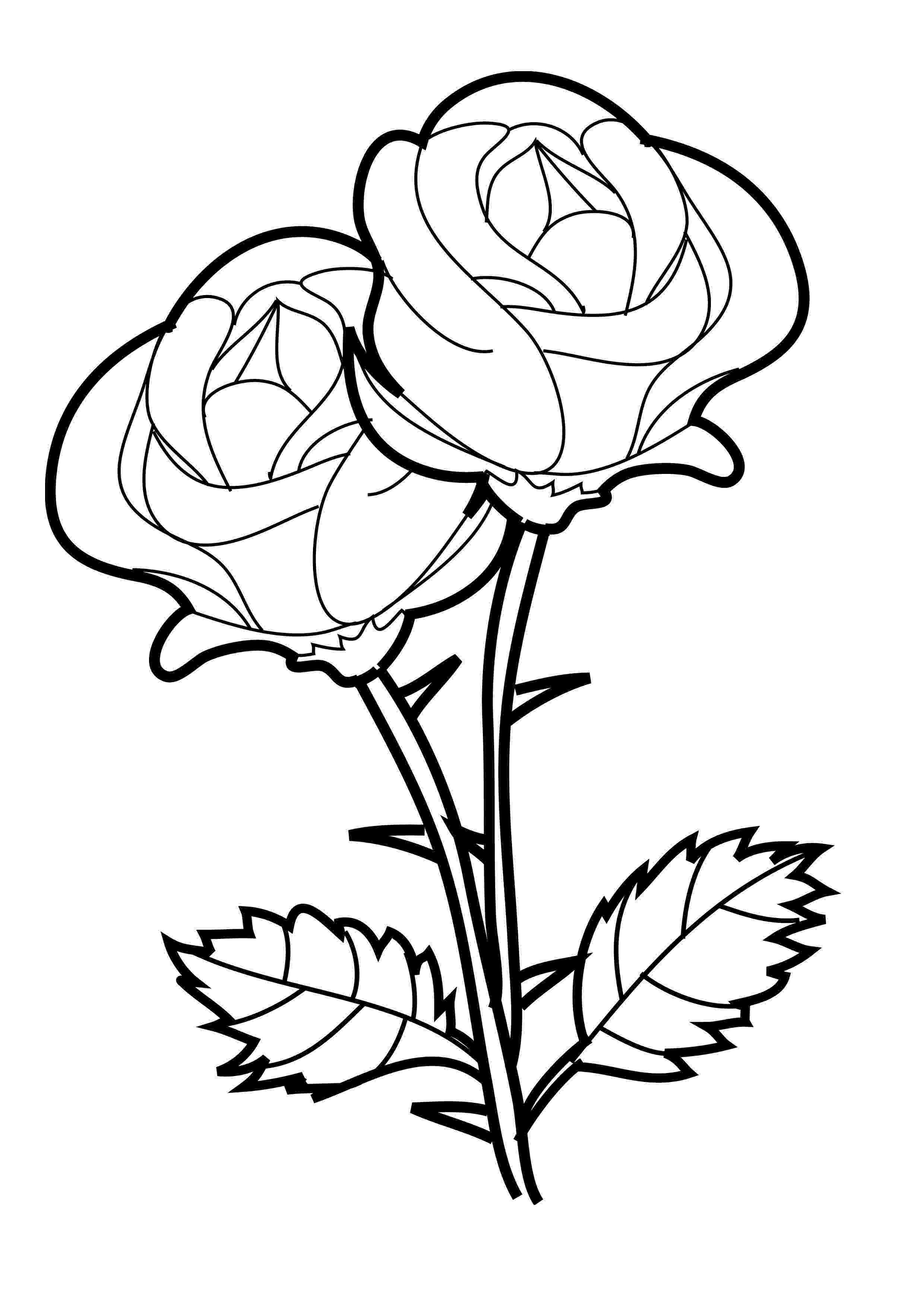 coloring roses free printable roses coloring pages for kids coloring roses 