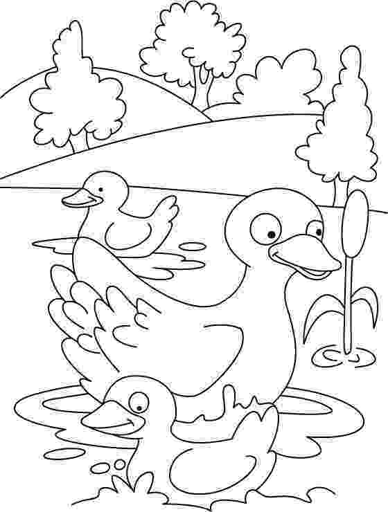 coloring sheet duck duck coloring page thema eenden kleuters duck theme coloring duck sheet 