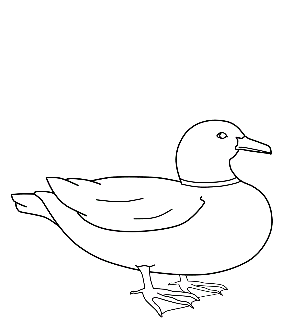 coloring sheet duck duck coloring pages best coloring pages for kids duck coloring sheet 1 2