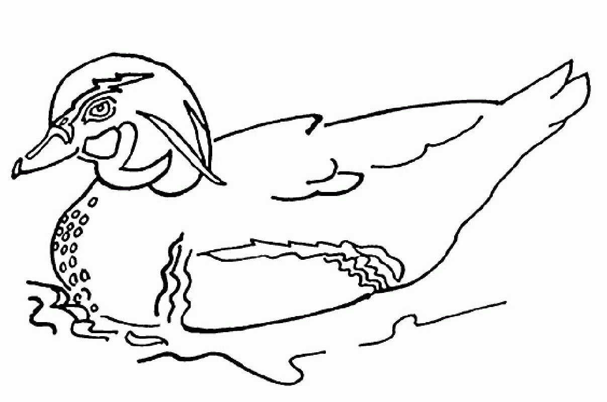 coloring sheet duck ducks coloring pages to download and print for free sheet duck coloring 
