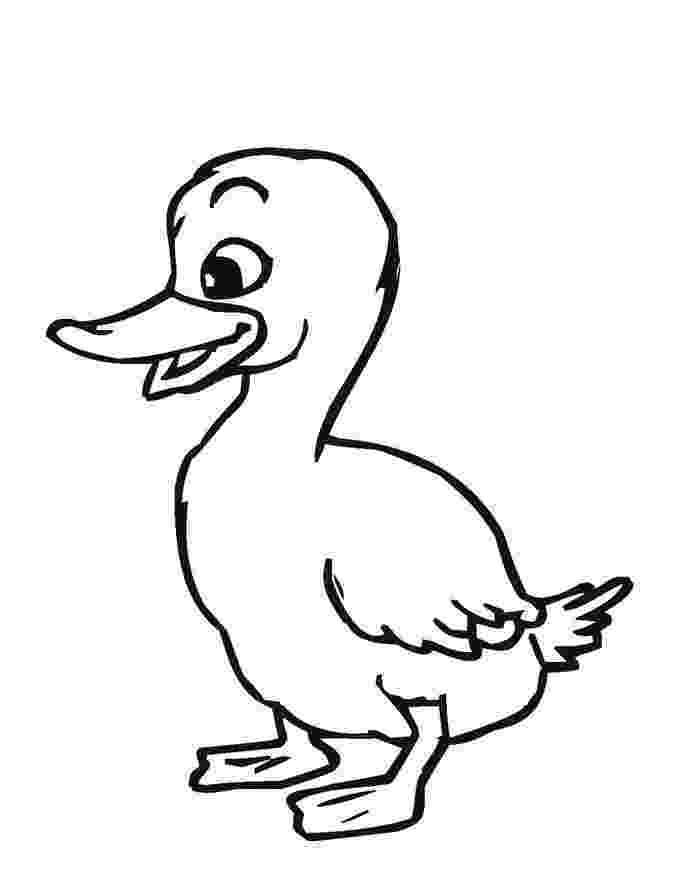coloring sheet duck printable duck coloring pages for kids cool2bkids sheet duck coloring 