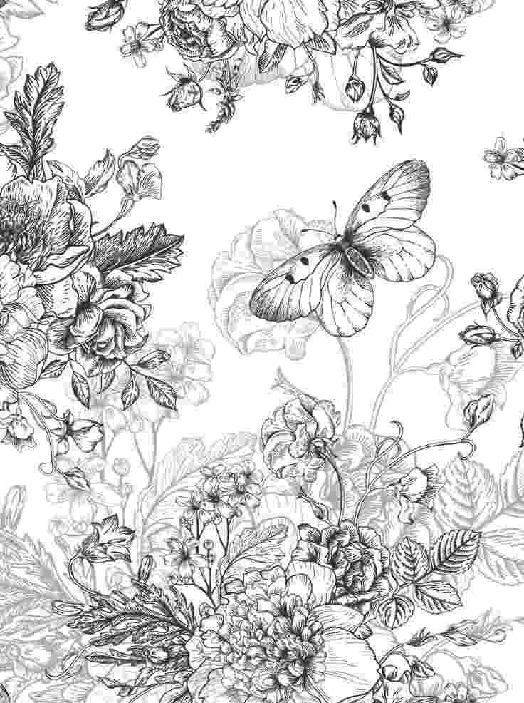 colouring pages for flowers butterfly coloring pages for pages colouring flowers 