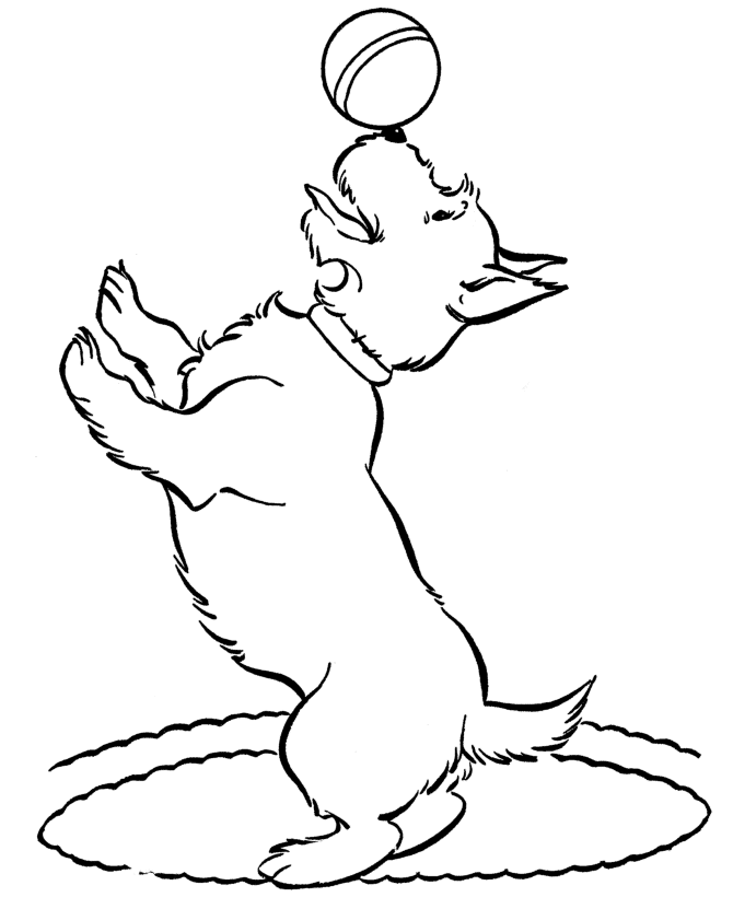 colouring pages of a dog free printable dog coloring pages for kids pages dog of colouring a 