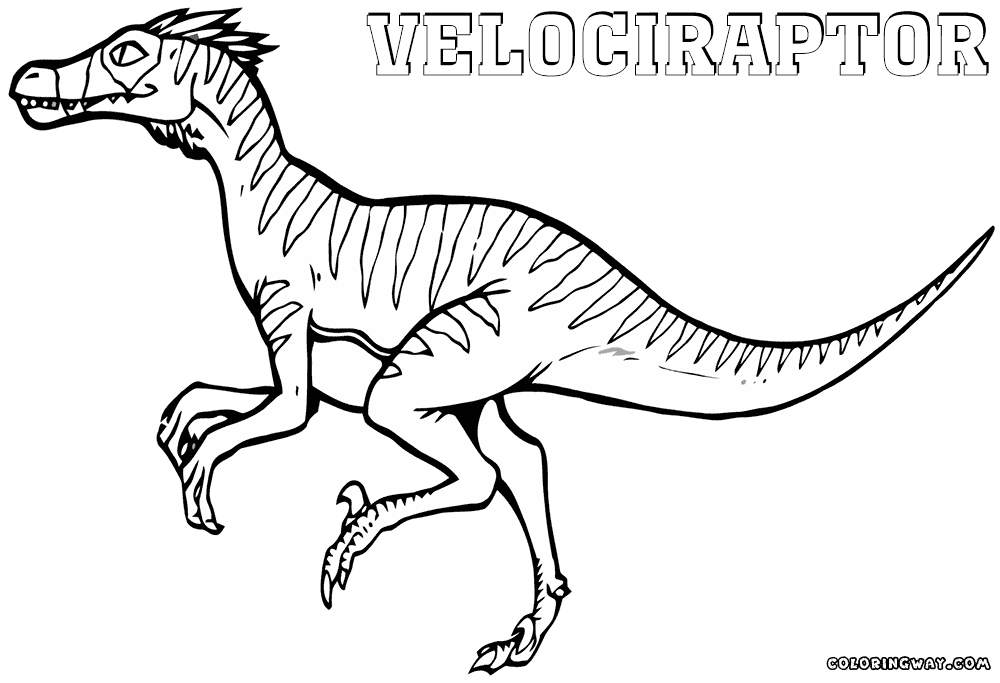 colouring pages velociraptor velociraptor coloring page free printable coloring pages velociraptor pages colouring 