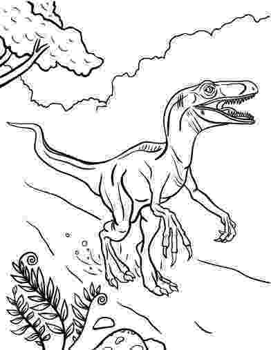 colouring pages velociraptor velociraptor coloring pages best coloring pages for kids velociraptor pages colouring 1 3