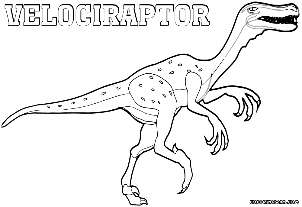 colouring pages velociraptor velociraptor coloring pages coloring pages to download colouring velociraptor pages 