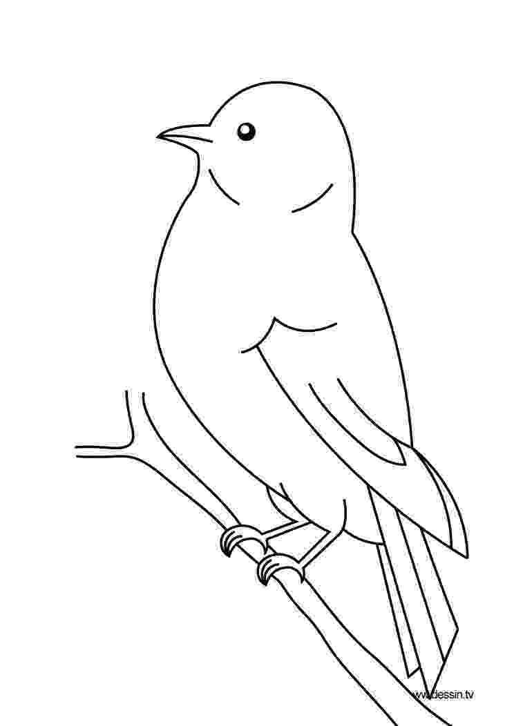 colouring picture bird coloring bird colouring bird picture 