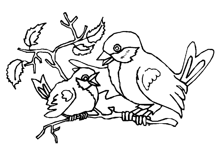colouring picture bird printable advanced bird coloring pages for adults free bird picture colouring 