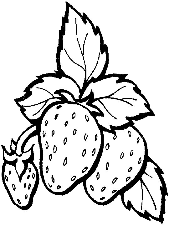 colouring picture of strawberry strawberry coloring pages downloadable and printable of picture strawberry colouring 