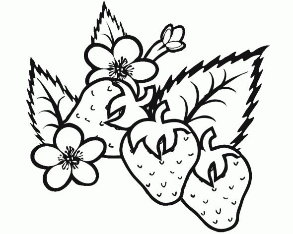 colouring picture of strawberry two strawberries coloring page free printable coloring pages strawberry picture of colouring 