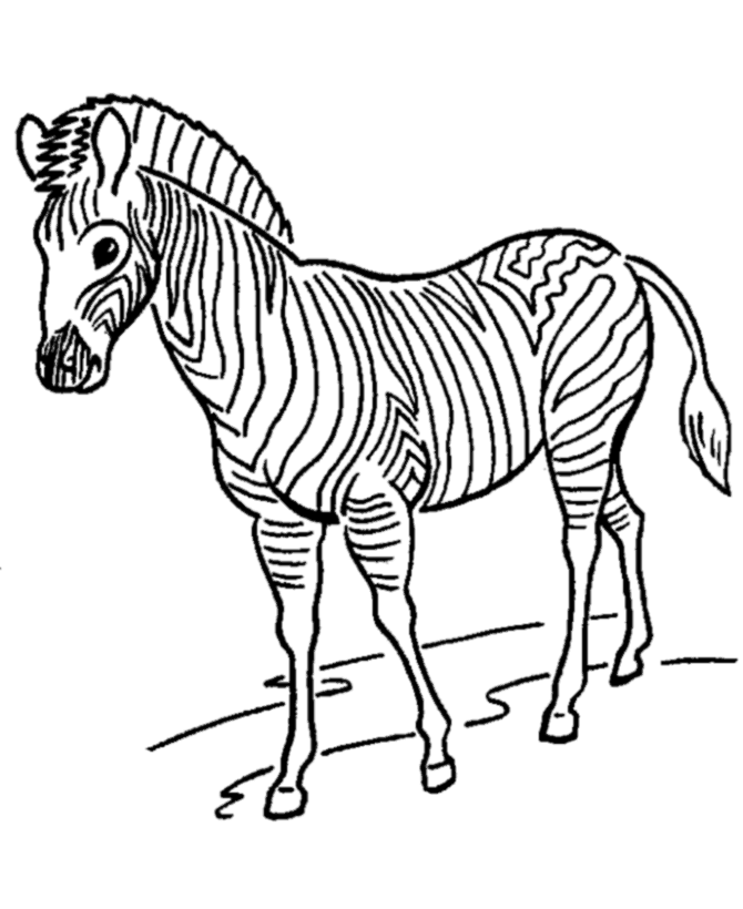 colouring picture of zebra free printable zebra coloring pages for kids colouring of picture zebra 