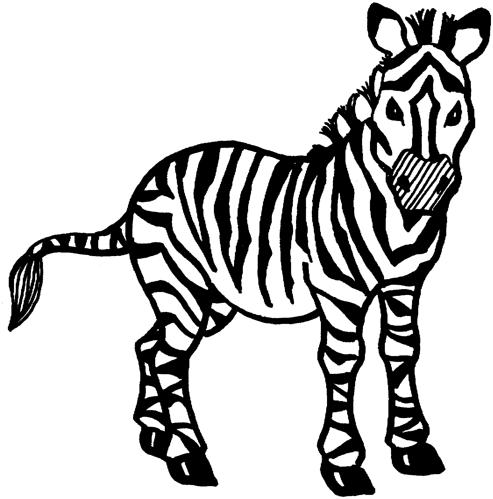 colouring picture of zebra free zebra coloring pages zebra picture of colouring 