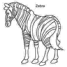 colouring picture of zebra top 20 free printable zebra coloring pages online zebra colouring picture of 