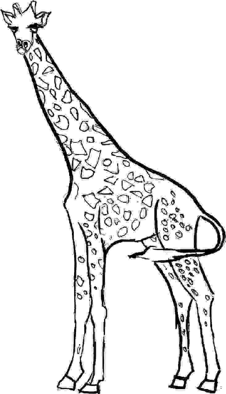 colouring sheet giraffe coloring pages for kids giraffe coloring pages for kids sheet colouring giraffe 