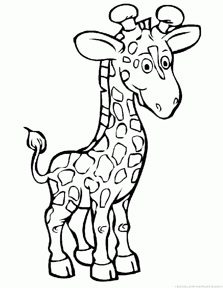colouring sheet giraffe kids n funcom 45 coloring pages of giraffe sheet giraffe colouring 