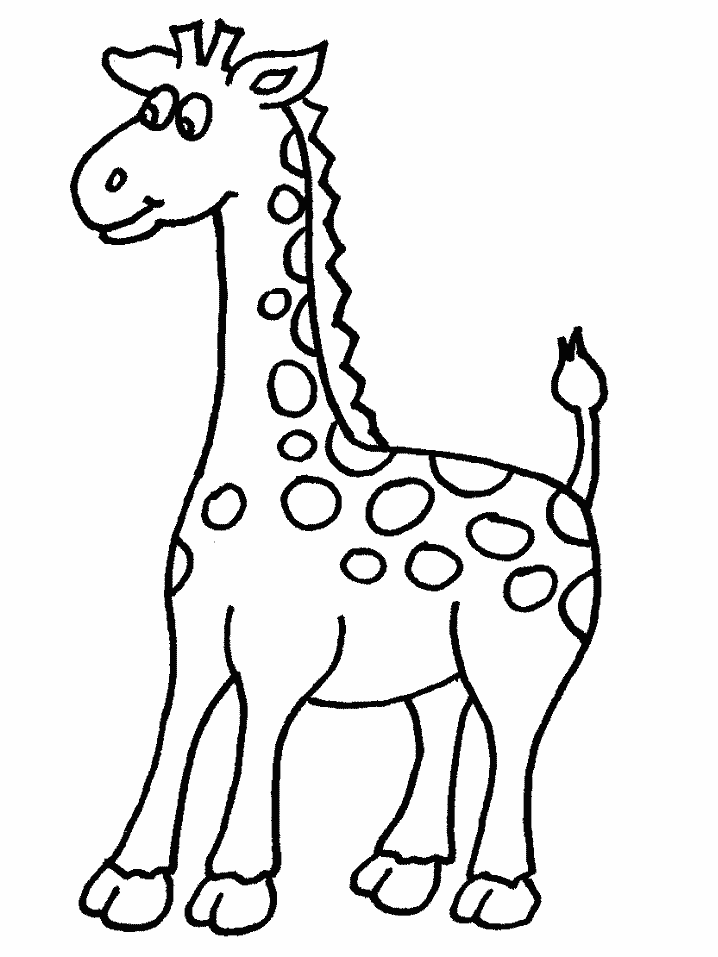 colouring sheet giraffe print download giraffe coloring pages for kids to have fun sheet giraffe colouring 
