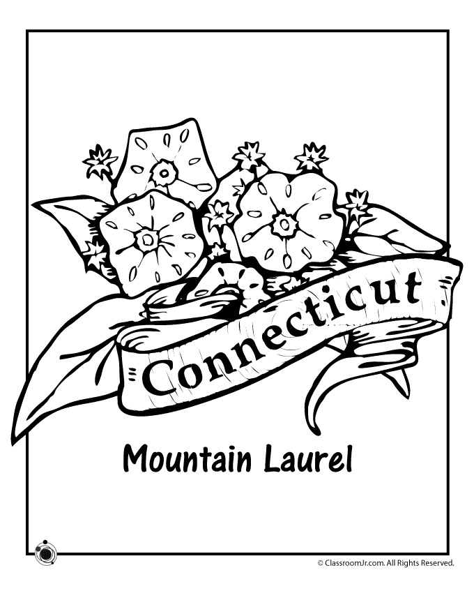connecticut state flower coloring page 50 state flowers coloring pages for kids connecticut coloring flower page state 