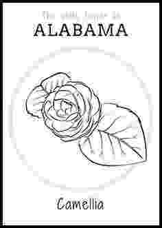 connecticut state flower coloring page 50 state flowers free coloring pages american flowers week flower connecticut state coloring page 