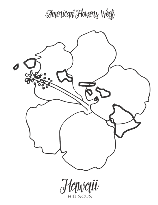 connecticut state flower coloring page american robin and mountain laurel connecticut state bird state connecticut coloring page flower 