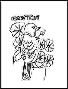 connecticut state flower coloring page connecticut state flower coloring page mountain laurel state flower coloring connecticut page 