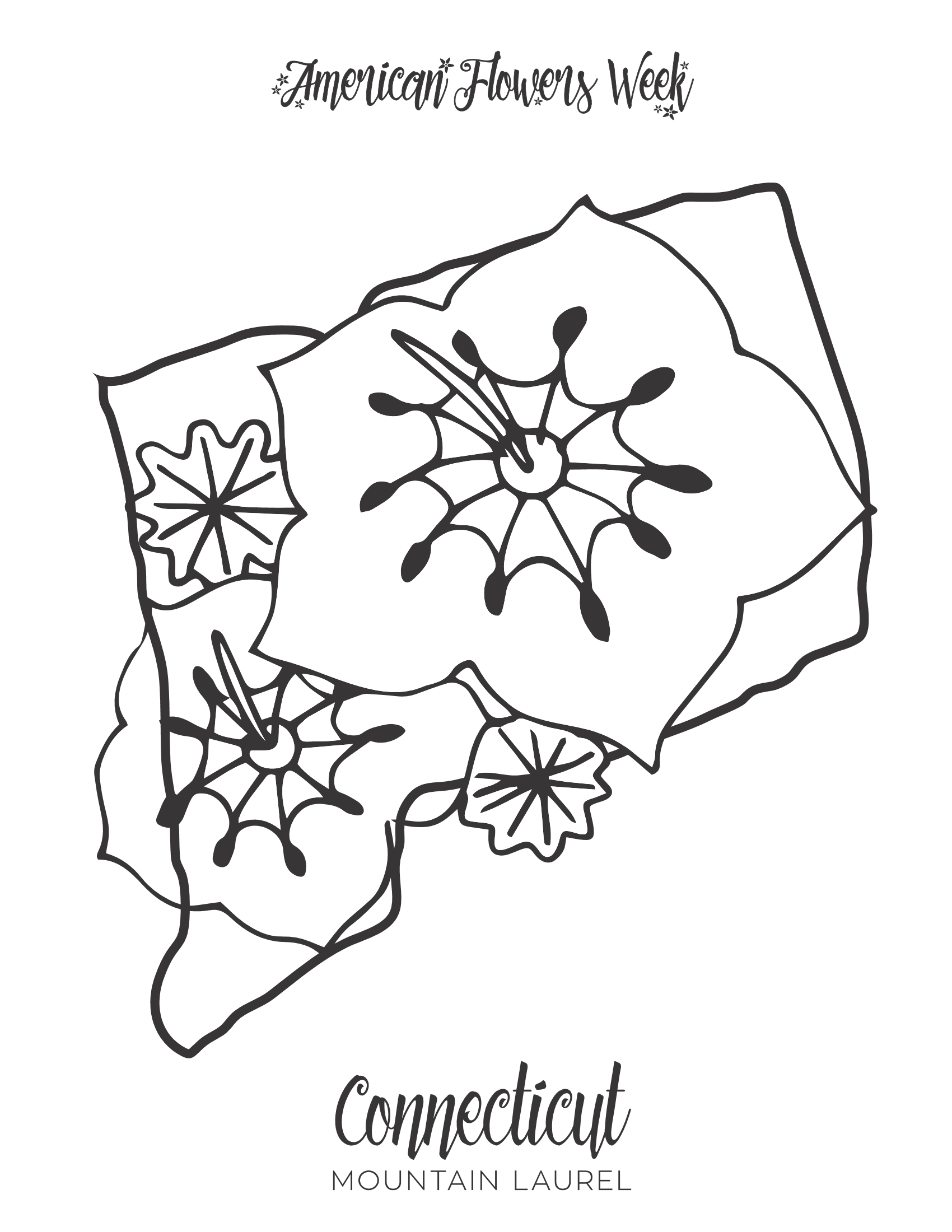 connecticut state flower coloring page states flower coloring sheets alabama georgia free flower connecticut coloring state page 