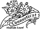 connecticut state flower coloring page usa printables state outline shape and demographic map coloring state connecticut flower page 
