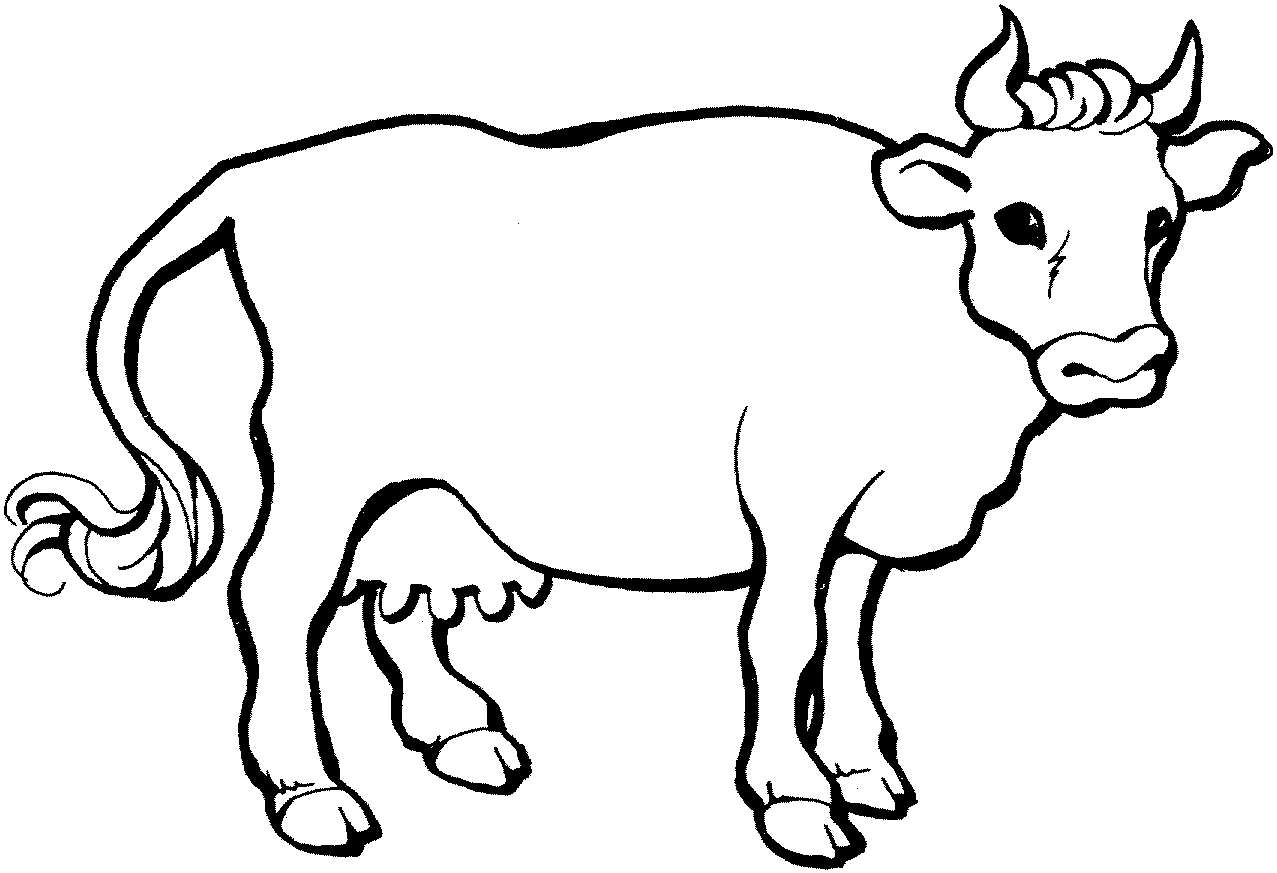 cow coloring pages free printable cow coloring pages for kids cow pages coloring 